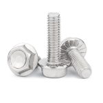 SS flangebolt